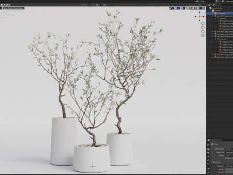 Plants collection 887 3D Model