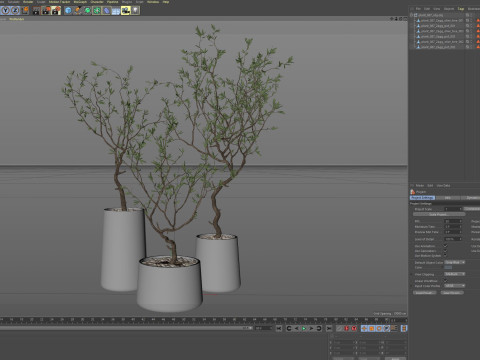 Plants collection 887 3Dモデル