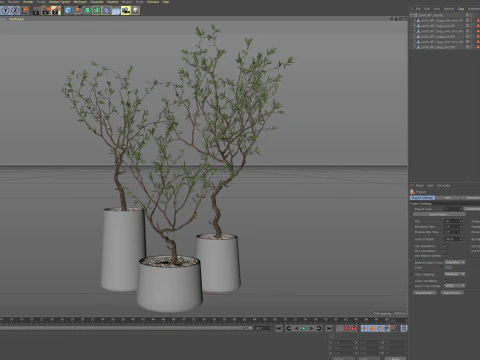 Plants collection 887 3D Model