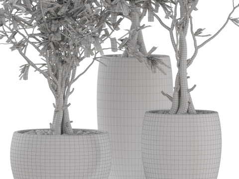 Plants collection 888 3D Модель