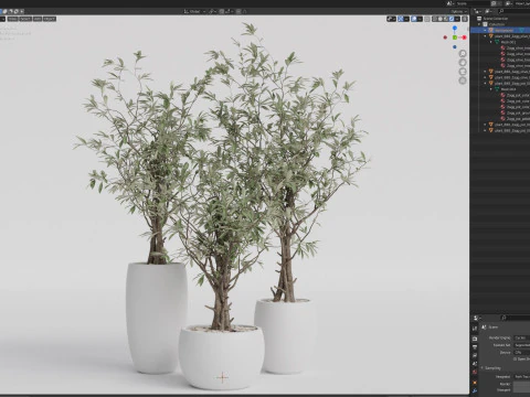 Plants collection 888 3D Model