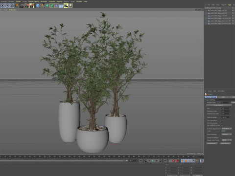 Plants collection 888 3D Model