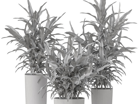 Plants collection 889 3D मॉडल