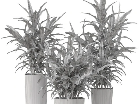 Plants collection 889 3D Model