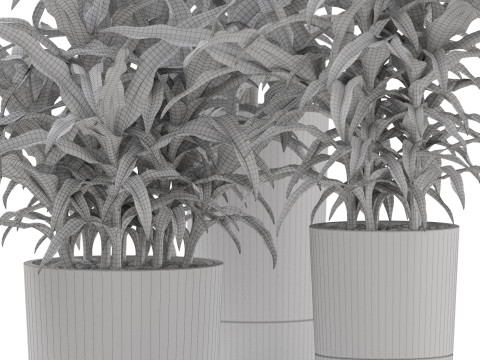 Plants collection 889 3D मॉडल