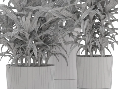 Plants collection 889 3D Model