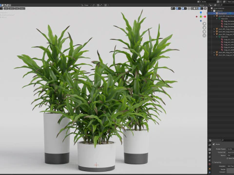 Plants collection 889 3D Model