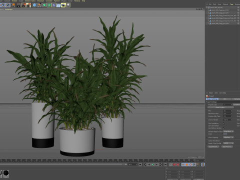 Plants collection 889 3D मॉडल