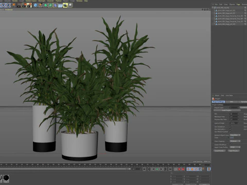 Plants collection 889 3D Model