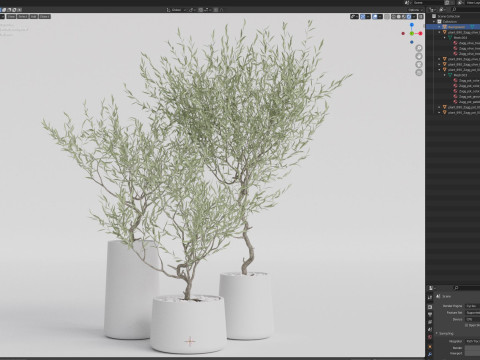 Plants collection 890 3D मॉडल