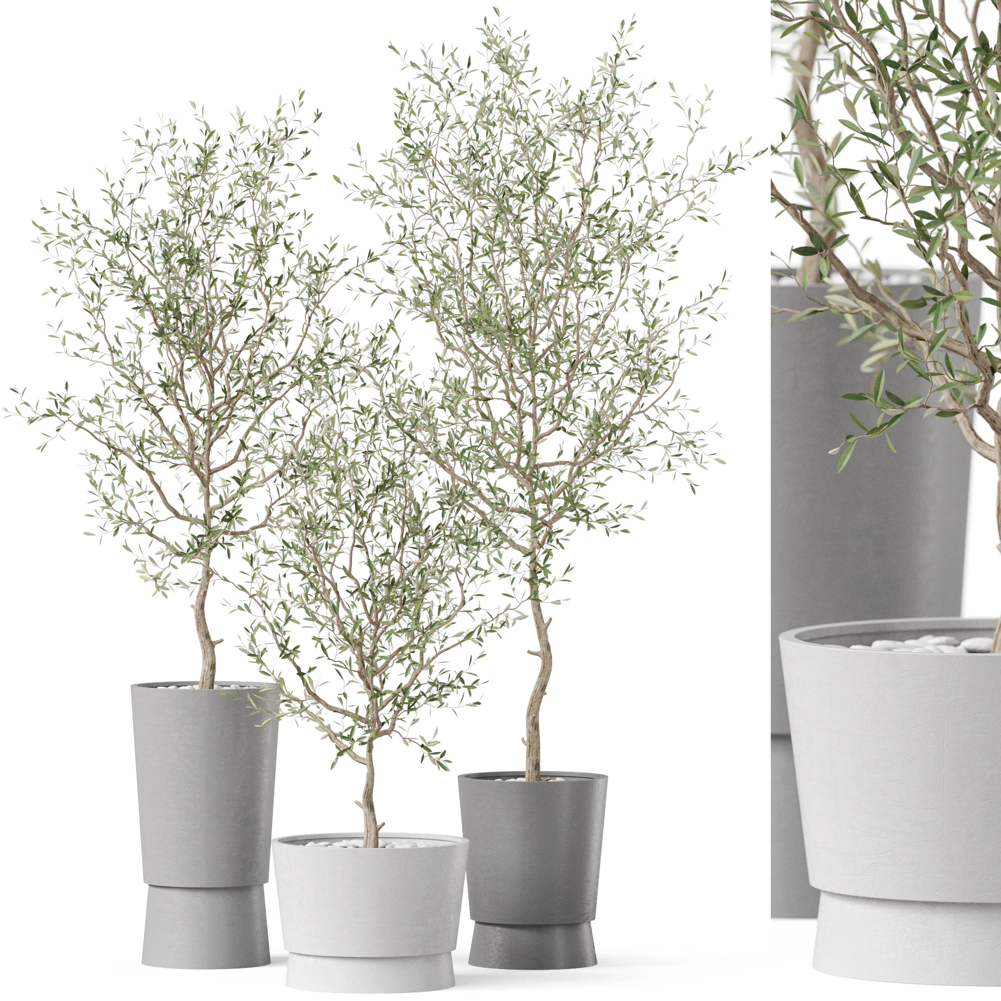 Plants collection 891 3D Model .c4d .max .obj .3ds .fbx .stl .blend 