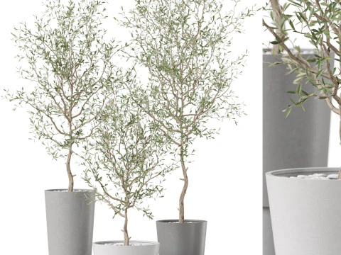 Kolekcja roślin 891 Model 3D