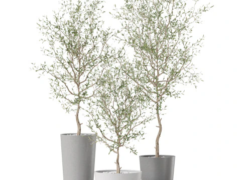 Plants collection 891 3D Model