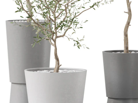 Plants collection 891 3D Model