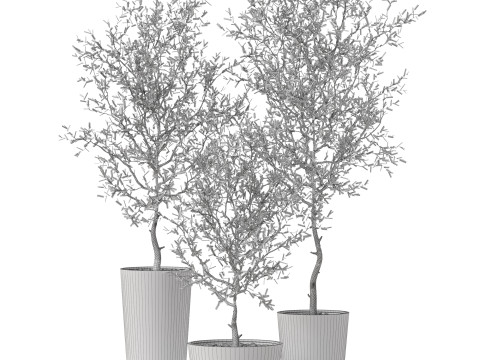 Plants collection 891 3D मॉडल