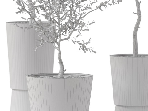 Plants collection 891 3D मॉडल