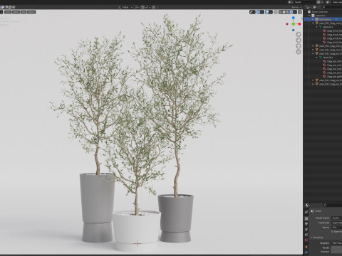 Plants collection 891 3D मॉडल