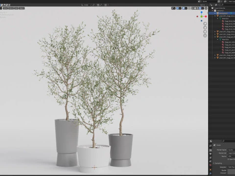 Plants collection 891 3D Model