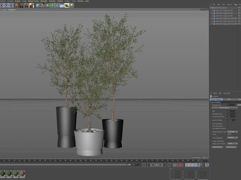 Plants collection 891 3D मॉडल