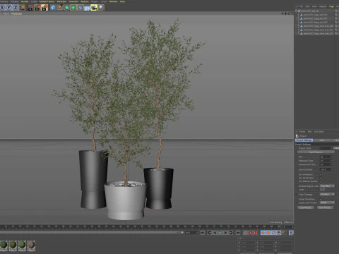 Plants collection 891 3D Model