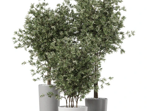 Plants collection 892 3D Model