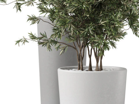 Plants collection 892 3D Model