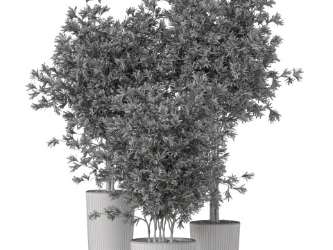 Plants collection 892 Modelo 3D