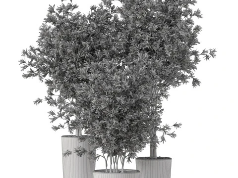 Plants collection 892 3D Model