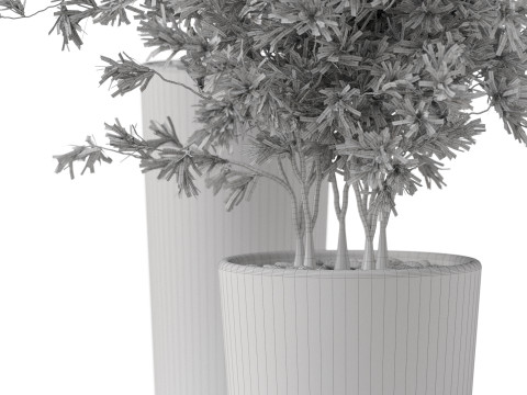 Plants collection 892 Modelo 3D