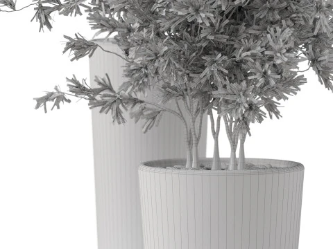 Plants collection 892 3D Model