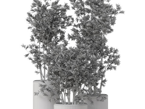 Plants collection 893 Model 3D