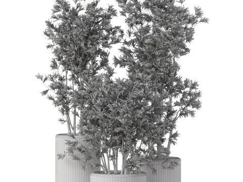 Plants collection 893 3D Model