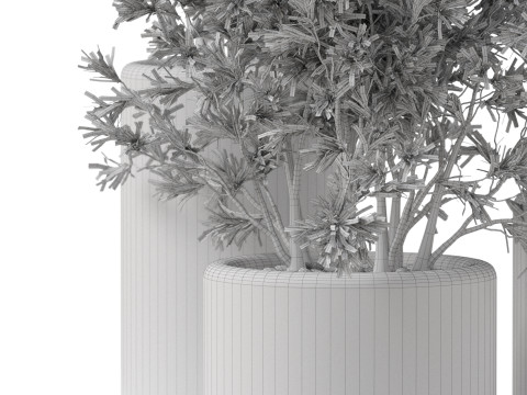 Plants collection 893 Model 3D