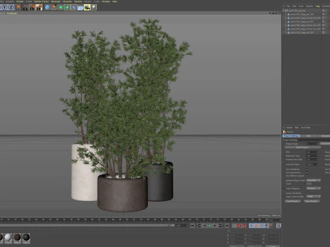 Plants collection 893 3D Model