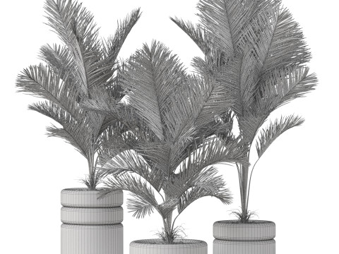 Plants collection 894 Modelo 3D