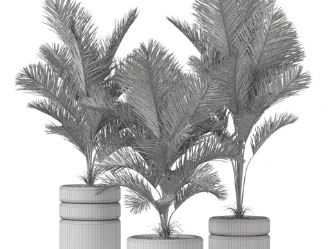 Koleksi tumbuhan 894 Model 3D