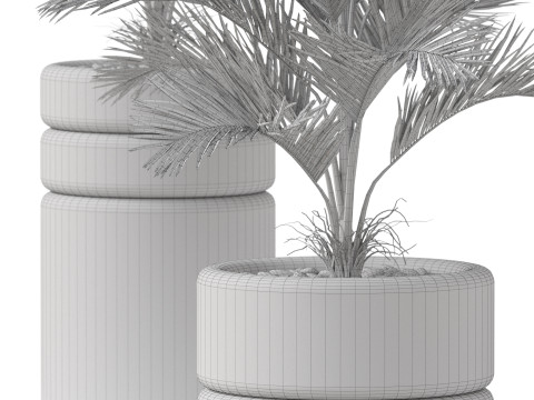 Plants collection 894 Modelo 3D