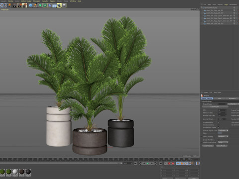 Plants collection 894 Modelo 3D