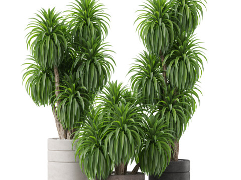Plants collection 895 3D Модель