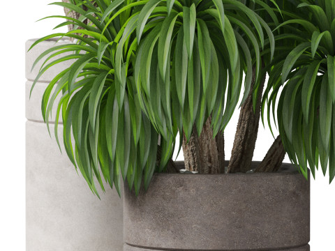 Plants collection 895 3D Модель