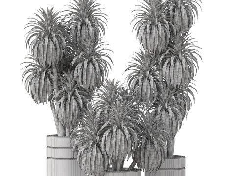 Plants collection 895 3D Модель