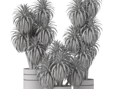 Plants collection 895 3D Model