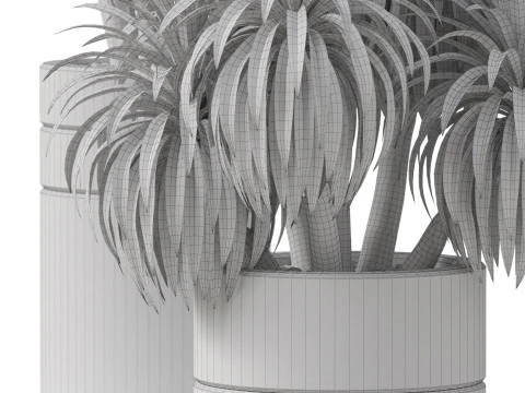 Plants collection 895 3D Model