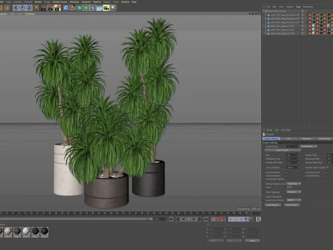 Plants collection 895 3D Model