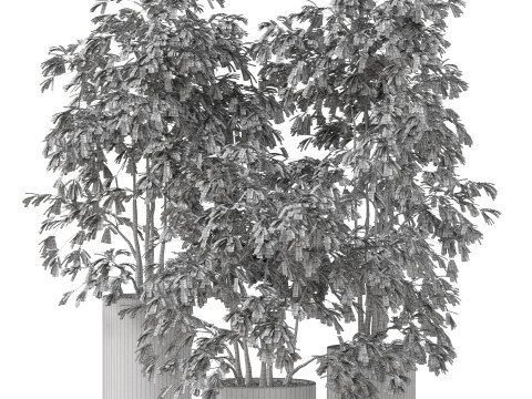 Plants collection 896 3D Модель