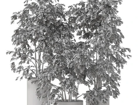 Plants collection 896 3D Model