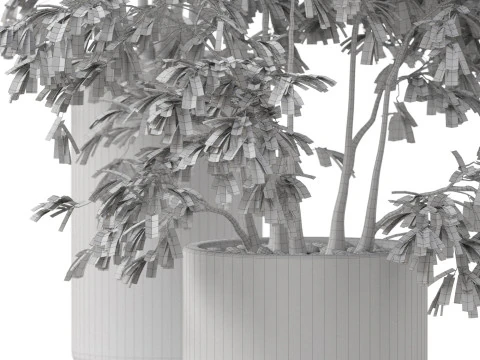 Plants collection 896 3D Model