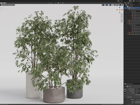 Plants collection 896 3D Model
