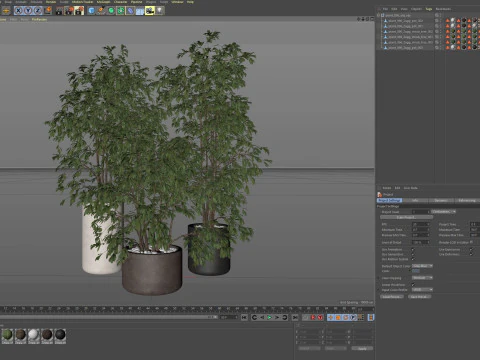 Plants collection 896 3D Model