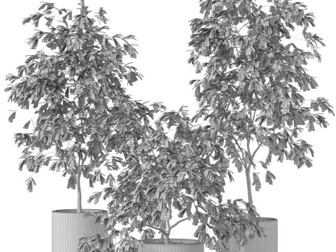 Plants collection 897 Model 3D